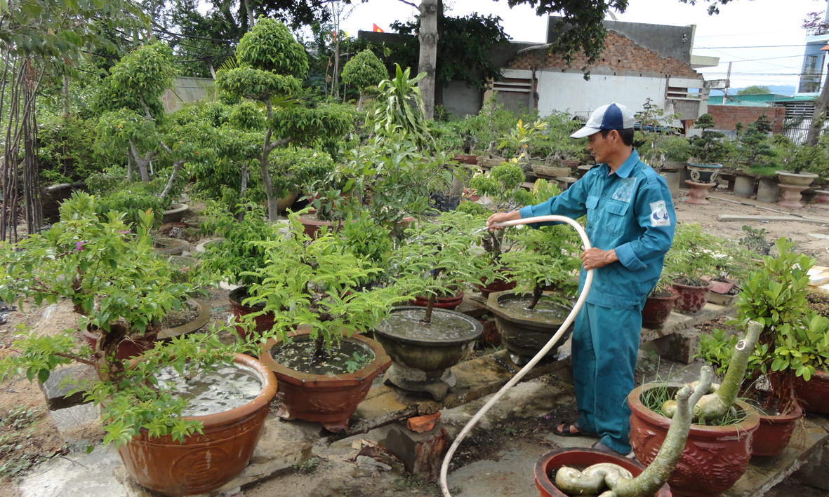 Chăm sóc cây xanh - Công Ty Cổ Phần Công Trình Đô Thị Ninh Thuận